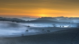 博士留学加拿大费用！