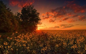 美国高中留学申请限制条件《上》