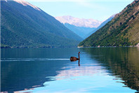 你都知道新西兰的这些硕士留学优势吗？