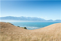 留意：2020年新西兰国立八大院校留学费用