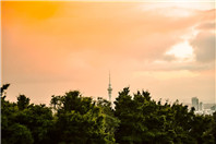 想去新西兰学动漫吗？