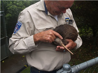 你知道哪些新西兰长期紧缺的职业？