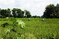 留学生技术移民新西兰尤其要注意