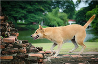 新西兰留学省钱攻略