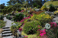 2019年新西兰留学费用汇总