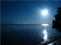 到新西兰读大学大致需要多少钱呀