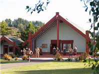 新西兰留学一年各阶段费用汇总