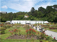 到新西兰留学需准备多少钱?