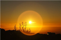 新西兰留学推荐地(惠灵顿篇)