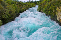 新西兰的幼师就业前景如何？