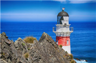 怀卡托大学的英语专业到底好不好