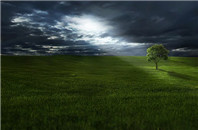 新西兰留学还不知道这些,该补一补了