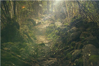 新西兰留学读哪些专业最好?