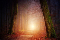 你了解新西兰留学的葡萄酒类专业吗?