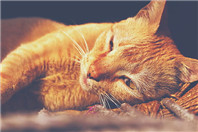 新西兰留学这么好!