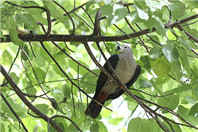 做好准备申请留学生奖学金！