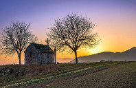 澳洲留学的申请途径有哪些？