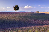 澳洲高中留学需要知道的那些事