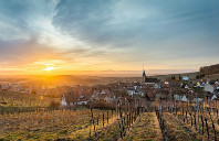 澳洲留学公立高中需要注意哪些？