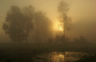 澳洲留学签证准备材料