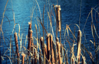 英国留学本科的渠道