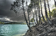 英国留学怎么选择适合的专业？