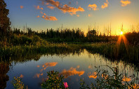 英国留学的硬性要求