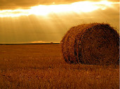 加拿大高中留学你了解多少？