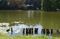 美国本科申请时是否要定专业