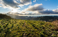 留学美国一共有多少专业可以选？