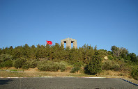 留学美国本科如何选专业？