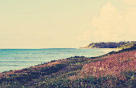 美国留学本科的专业介绍