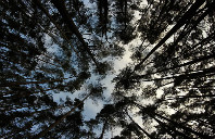 留学美国波士顿大学费用介绍