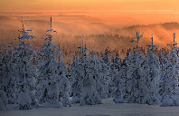 美国留学费用最少的10所院校(下)
