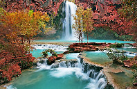 美国最受欢迎的十所大学