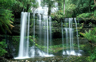 留学美国纽约有哪些好学校？