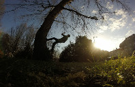 最受欢迎的美国商科专业（下）