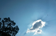 美国佐治亚大学如何？