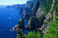 留学美国的优势专业