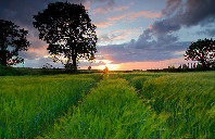 英国留学高就业率的专业(下)