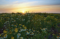 留学英国南安普顿大学介绍