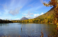 英国留学医科专业院校推荐