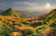 澳洲留学商科学费