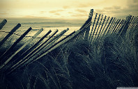 盘点澳洲那些便于移民的专业