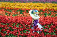 留学澳洲如何选择适合自己的专业？