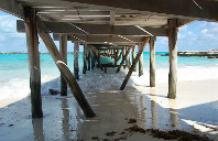 新西兰留学优势