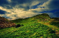 新西兰留学都有哪些亮点？