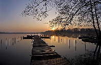 留学新西兰艺术专业需要多少费用？