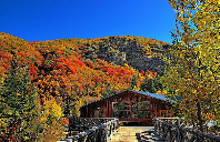 留学新西兰奥克兰大学翻译专业就业前景