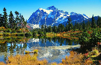 留学新西兰最赚钱的专业介绍